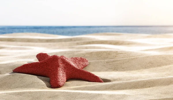 Estrela Mar Vermelho Praia Areia Close Com Espaço Cópia — Fotografia de Stock