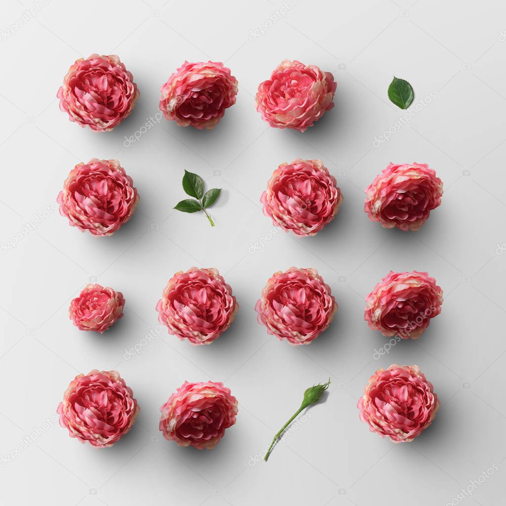 beautiful rose flowers and green leaves in form of square  isolated on white background