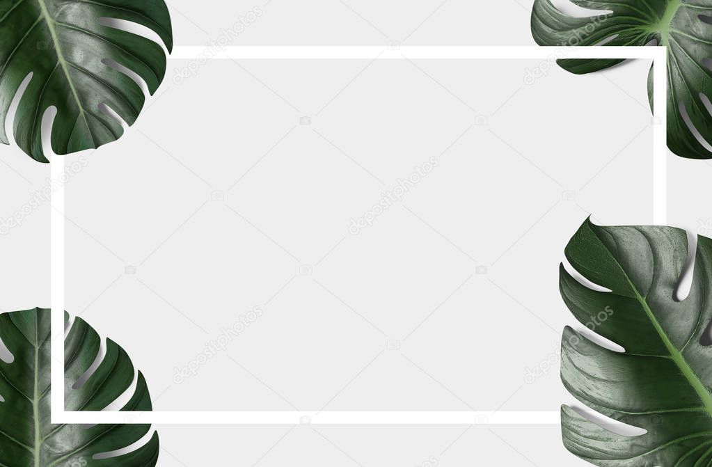 green tropical leaves with white black frame on light background