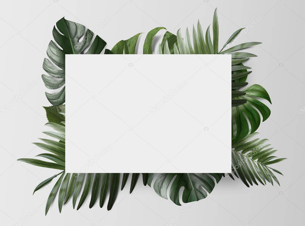 empty paper card with green tropical leaves isolated on white background