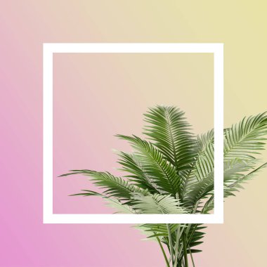 Dalları palmiye yaprakları ve kare çok renkli arka plan, geometri kavramı ile