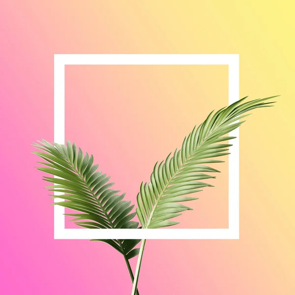 Ветви Пальмовыми Листьями Квадратные Многоцветном Фоне Геометрия Концепции — стоковое фото