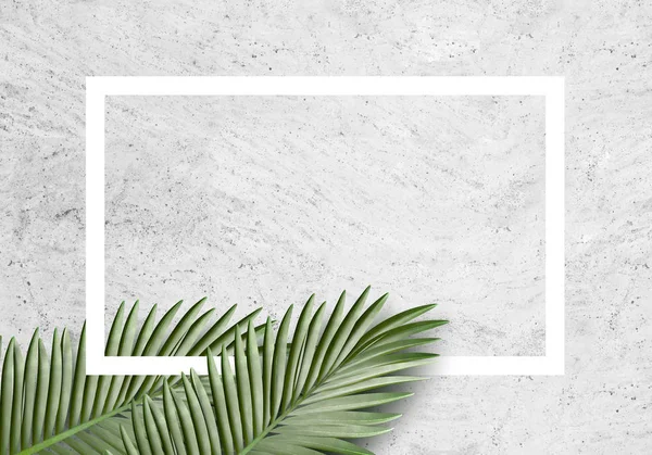 Dalları ile palmiye yaprakları ve gri arka plan, geometri kavramı üzerinde dikdörtgen