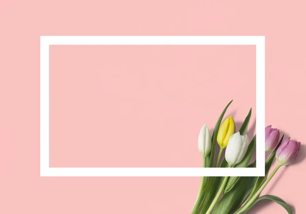 Vista Dall Alto Tulipani Rettangolo Sfondo Arancione Concetto Geometria — Foto Stock