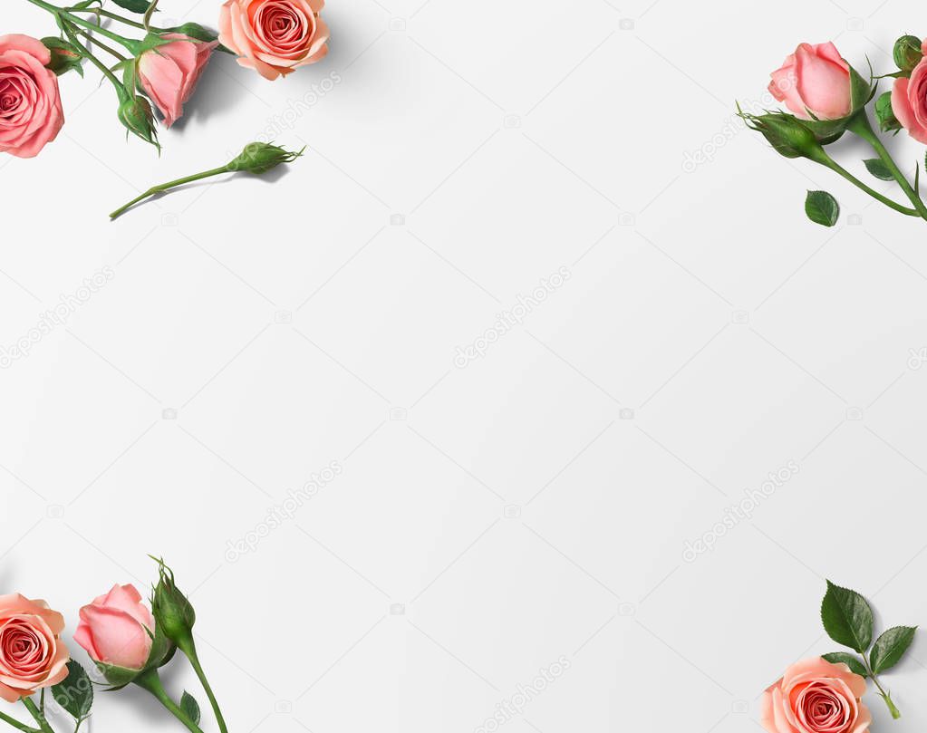 Top view of bush roses in corners isolated on white background