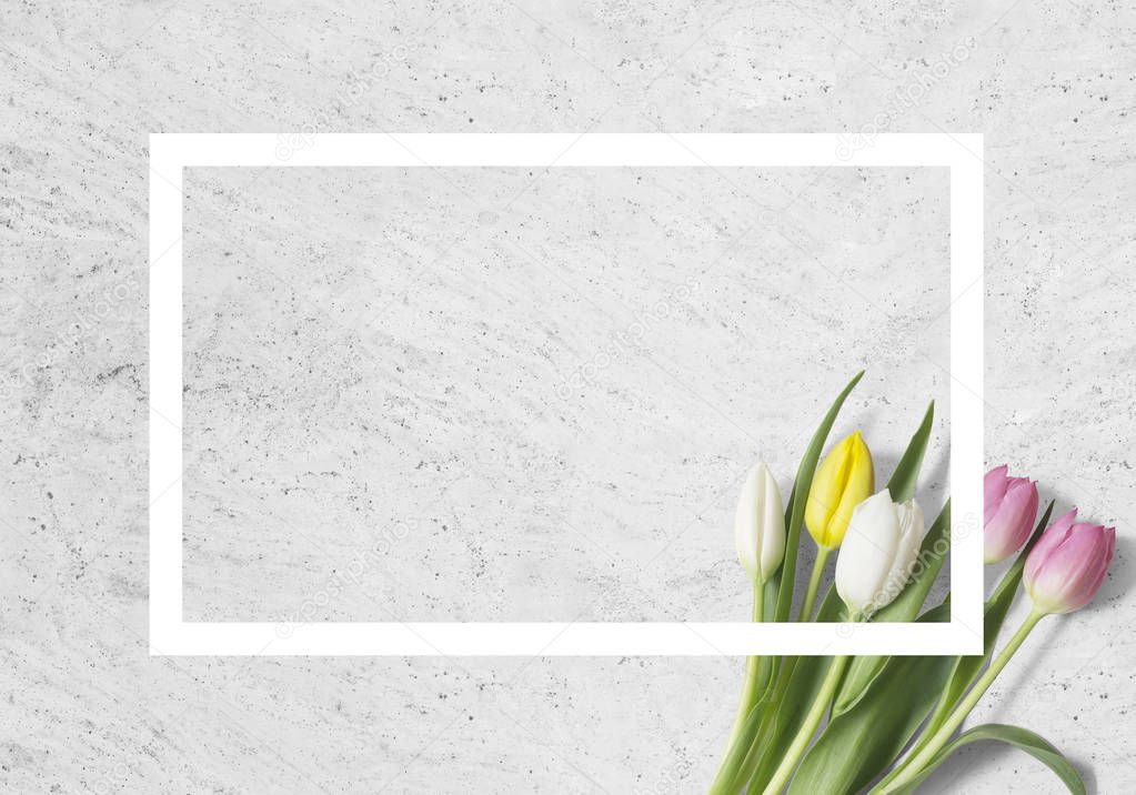 Top view of tulips and rectangle on grey background, geometry concept