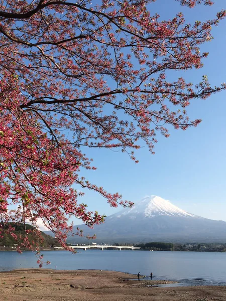 Berget Fuji, sjön Kawaguchiko Yamanashi Japan — Stockfoto