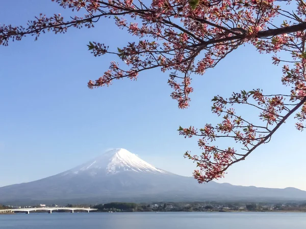 Montagne Fuji, Lac Kawaguchiko Yamanashi Japon — Photo