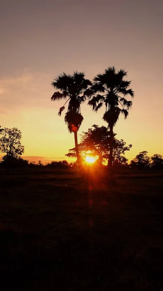 Colorful of sunset and last light of the year in Thailand