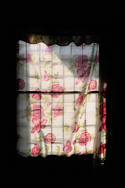 Sunshine Shines Curtain Rose — Stock Photo, Image