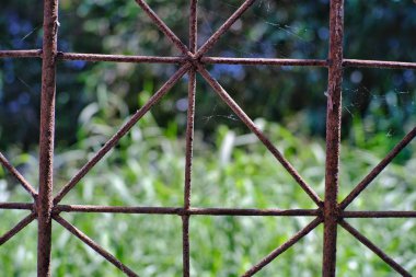 Çayırda yeşil çimen arka planlı paslı çit 