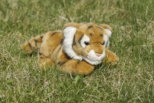 Tigre de brinquedo na grama . — Fotografia de Stock