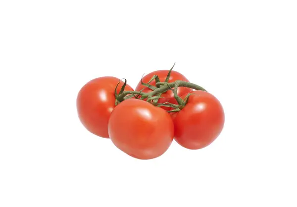 Los tomates en la rama. — Foto de Stock
