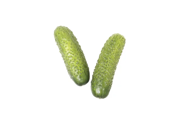 Pepino fresco. Isolados . — Fotografia de Stock