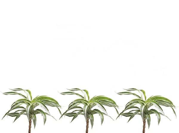 Ram för text med växter längst ner. — Stockfoto