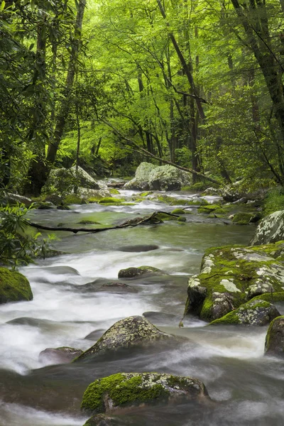 Rugissant Ruisseau Fork dans les Grandes Montagnes Smoky États-Unis — Photo