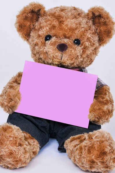 Teddy urso segurando um sinal rosa em branco isolado no backgroun branco — Fotografia de Stock