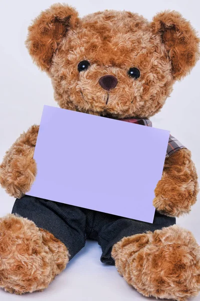 Teddy bear tartja egy üres lila jele, elszigetelt fehér backgro — Stock Fotó