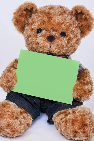 Osito de peluche sosteniendo un letrero verde en blanco aislado sobre fondo blanco — Foto de Stock