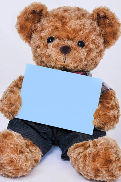 Beyaz adam izole boş bir mavi işaret tutan bir oyuncak ayı — Stok fotoğraf