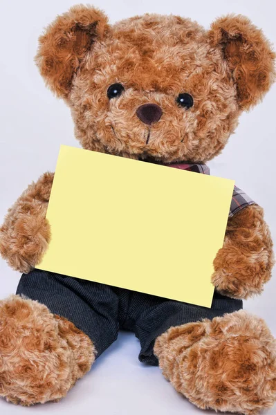 Teddybär hält ein leeres gelbes Schild auf weißem Hintergrund — Stockfoto