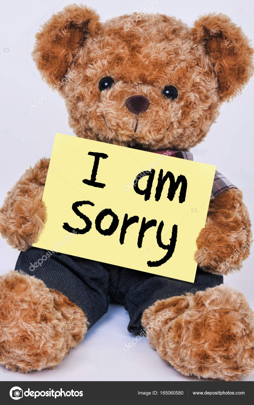 Am sorry teddy bear on sale