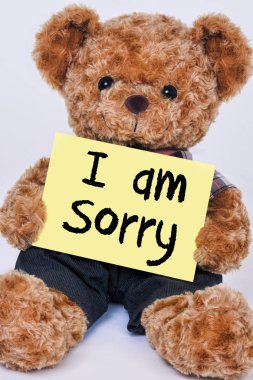 I 'm Sorry diyor sarı işaret tutan oyuncak ayı