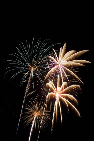 Hermosos fuegos artificiales muestran luces hasta el cielo de la noche —  Fotos de Stock