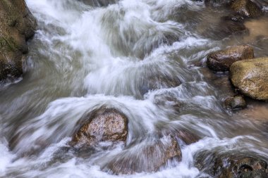Kükreyen çatal Creek, dumanlı dağ Kayaların etrafında akan su