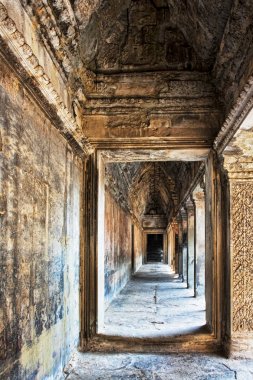 wat angkor Kamboçya'daki antik kalıntıları