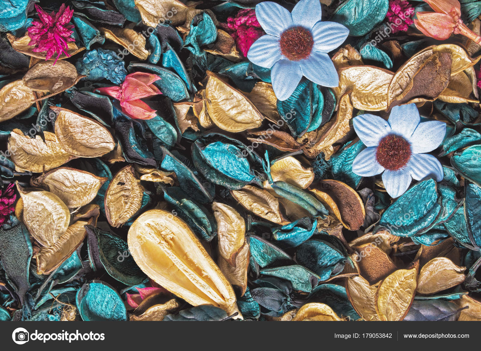 ドライフラワー写真素材 ロイヤリティフリードライフラワー画像 Depositphotos ドライフラワー写真素材 ロイヤリティフリードライフラワー画像 Depositphotos