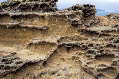 Honeycomb weathering patterns in the Yehliu Geopark, New Taipei, clipart