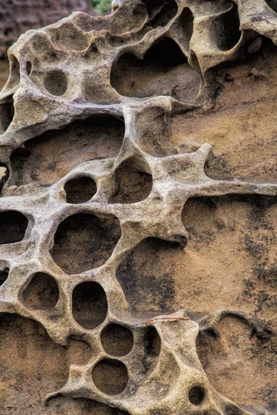 Honeycomb weathering patterns in the Yehliu Geopark, New Taipei, — Stock Photo, Image