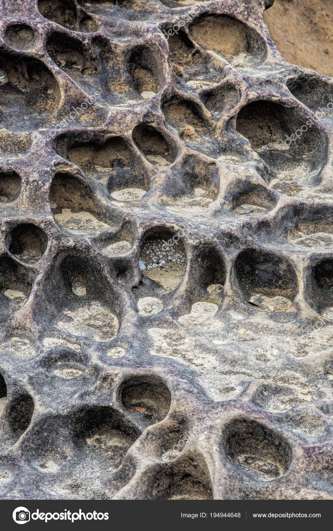 weathering patterns in the Yehliu Geopark, New Taipei, Stock