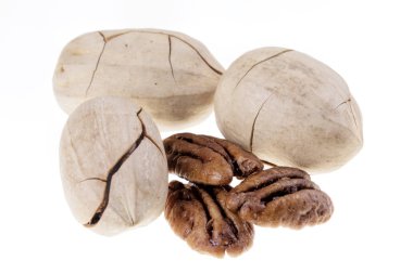 Cevizli fındıklara yakın çekim, mükemmel atıştırmalıklar.