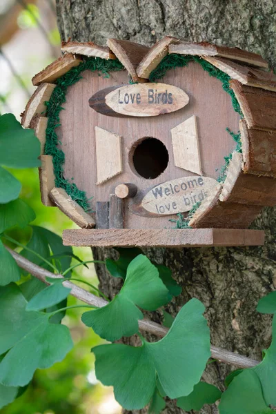 Een Prachtige Natuurlijke Wodden Vogelhuis Opknoping Buiten Een Ginkgo Boom — Stockfoto