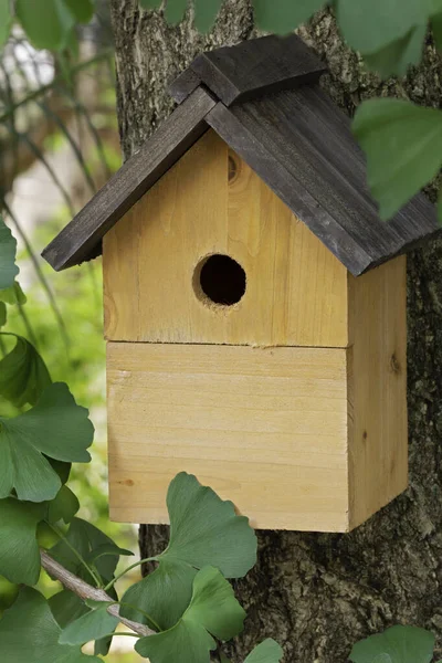 Uma Bela Casa Pássaros Wodden Natural Pendurado Livre Uma Árvore — Fotografia de Stock