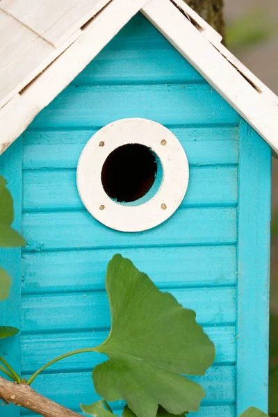 Una Hermosa Pajarera Azul Colgando Aire Libre Árbol Ginkgo Jardín —  Fotos de Stock