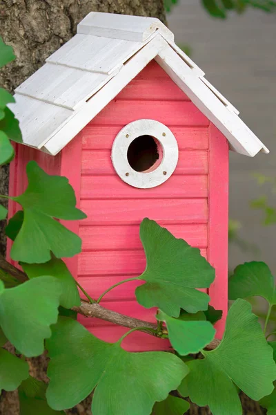 Een Prachtig Roze Vogelhuisje Hangend Buiten Een Ginkgo Boom Tuin — Stockfoto