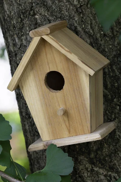 Piękny Naturalny Wodden Birdhouse Wiszący Zewnątrz Ginkgo Drzewa Ogrodzie — Zdjęcie stockowe