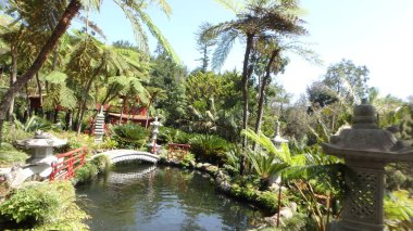 Parklar Madeira Adası