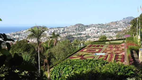 Parken op het eiland Madeira — Stockfoto