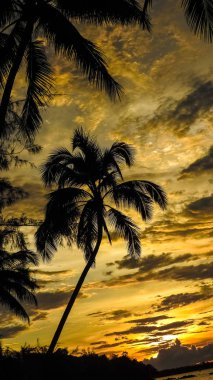 En güzel günbatımı ve gündoğumu