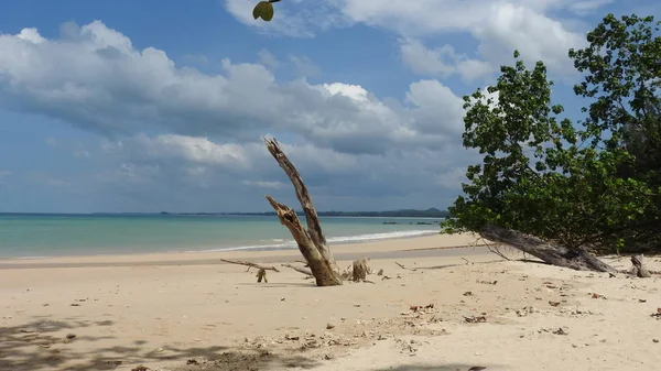 Khao Lak Beach Tayland — Stok fotoğraf