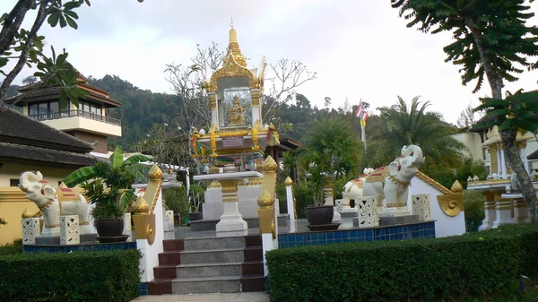 Tayland Tapınak Bitkiler — Stok fotoğraf