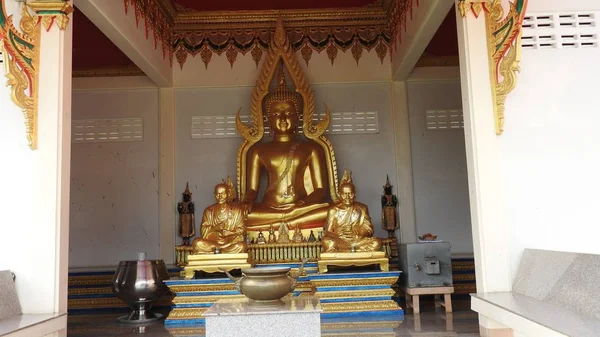 Temple Plants Thailand — Stock Photo, Image