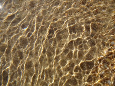 Sahilde deniz kabuğu