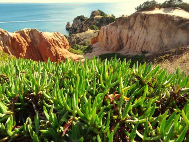 Lagos Portekiz 'de Algarve