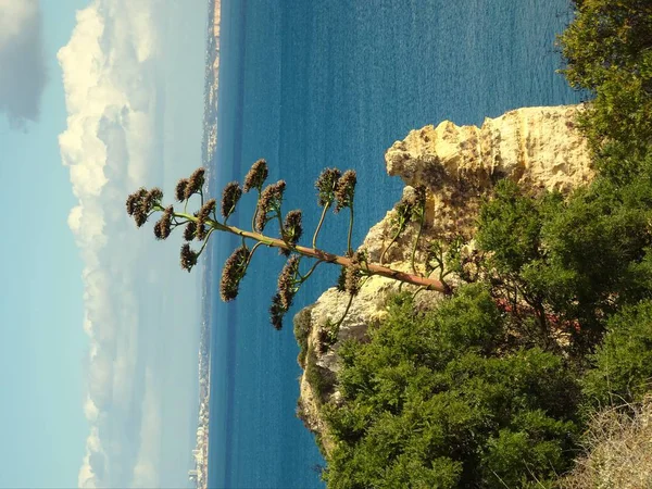 Algarve Lagos Portugal — Fotografia de Stock