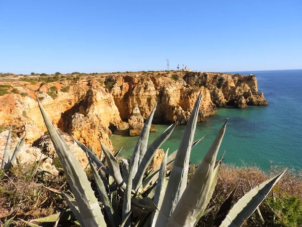 Algarve Bei Lagos Portugal — Stockfoto